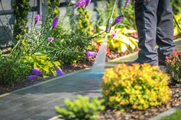 Best Gutter Cleaning  in Merkel, TX